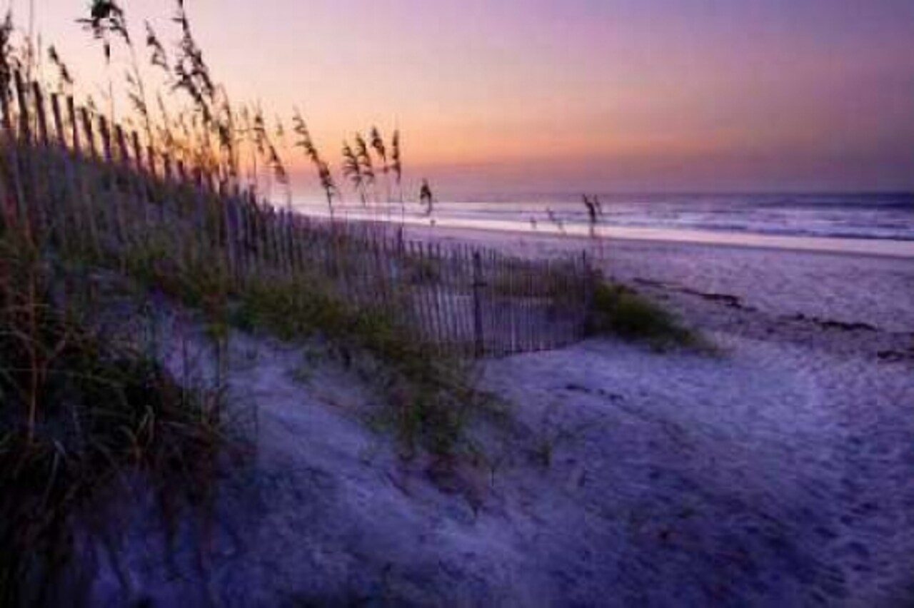 Lavender Beach I Poster Print by Alan Hausenflock - Item # VARPDXPSHSF164
